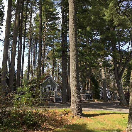 Pine Grove Cottages Lincolnville Exteriér fotografie