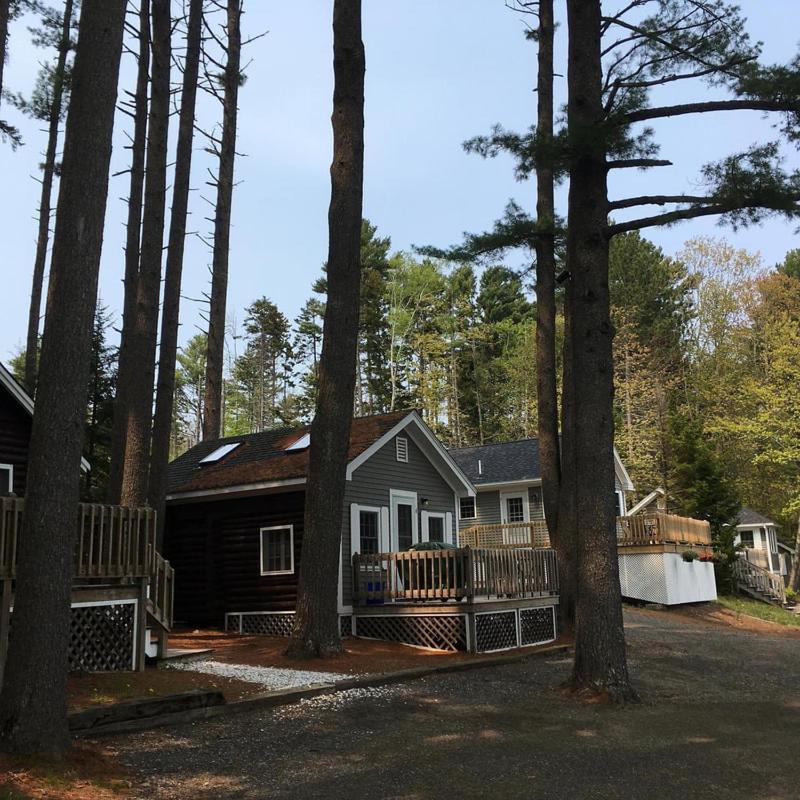 Pine Grove Cottages Lincolnville Exteriér fotografie